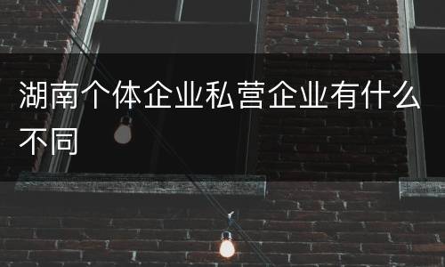 湖南个体企业私营企业有什么不同