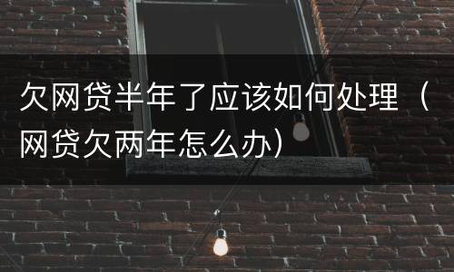 欠网贷半年了应该如何处理（网贷欠两年怎么办）