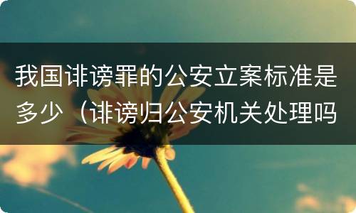 我国诽谤罪的公安立案标准是多少(诽谤归公安机关处理吗)