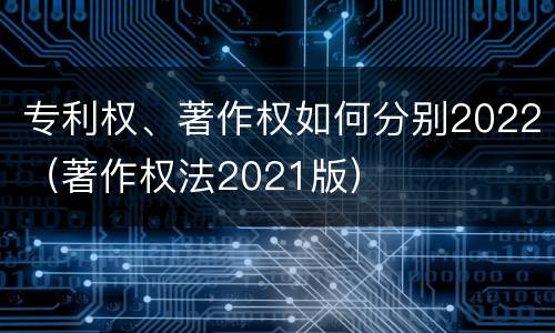 专利权、著作权如何分别2022（著作权法2021版）