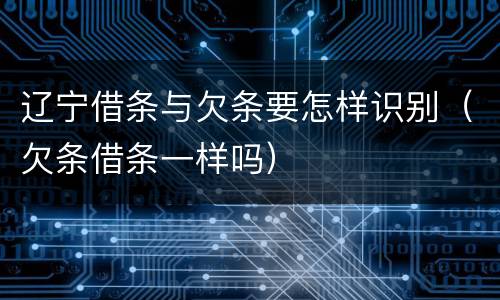 辽宁借条与欠条要怎样识别（欠条借条一样吗）