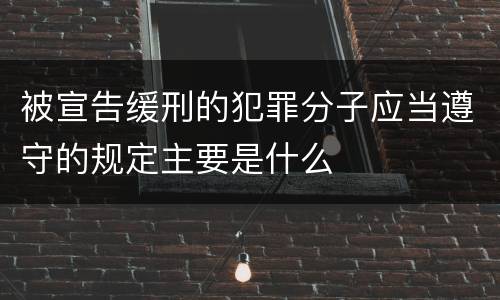 被宣告缓刑的犯罪分子应当遵守的规定主要是什么