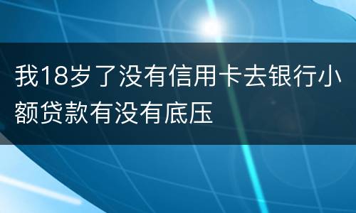 我18岁了没有信用卡去银行小额贷款有没有底压