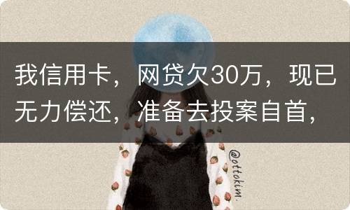 我信用卡，网贷欠30万，现已无力偿还，准备去投案自首，大概会判多少年
