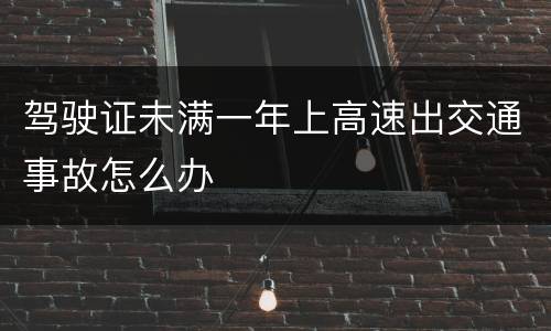 驾驶证未满一年上高速出交通事故怎么办