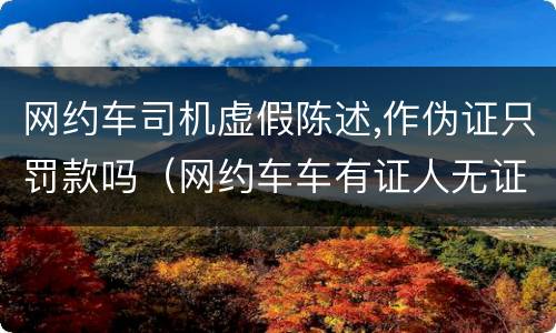 网约车司机虚假陈述,作伪证只罚款吗（网约车车有证人无证怎么处罚）