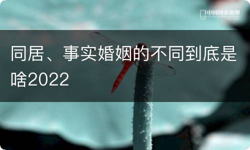 同居、事实婚姻的不同到底是啥2022