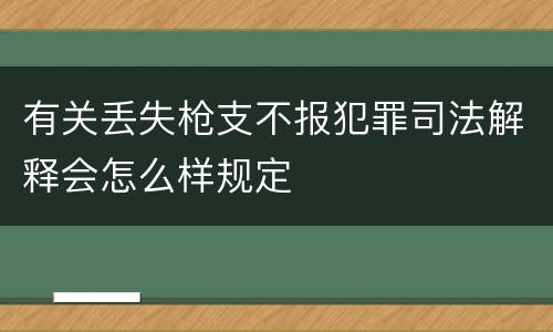 有关丢失枪支不报犯罪司法解释会怎么样规定