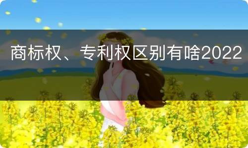 商标权、专利权区别有啥2022