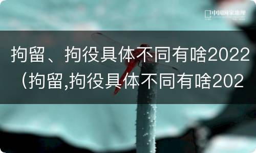 拘留、拘役具体不同有啥2022（拘留,拘役具体不同有啥2022规定）