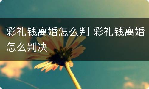 彩礼钱离婚怎么判 彩礼钱离婚怎么判决