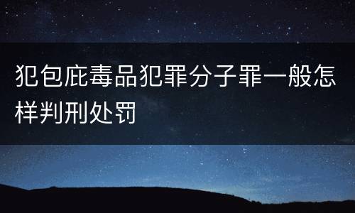 犯包庇毒品犯罪分子罪一般怎样判刑处罚