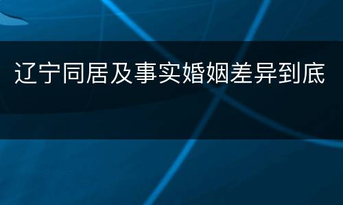 辽宁同居及事实婚姻差异到底