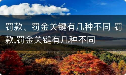 罚款、罚金关键有几种不同 罚款,罚金关键有几种不同