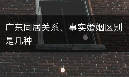 广东同居关系、事实婚姻区别是几种