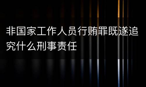 非国家工作人员行贿罪既遂追究什么刑事责任