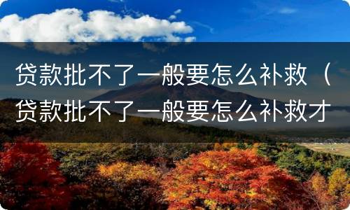 贷款批不了一般要怎么补救（贷款批不了一般要怎么补救才能通过）