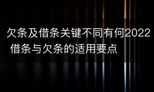 欠条及借条关键不同有何2022 借条与欠条的适用要点