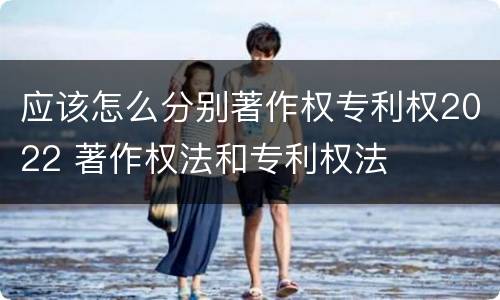 应该怎么分别著作权专利权2022 著作权法和专利权法