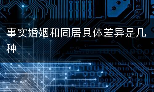 事实婚姻和同居具体差异是几种