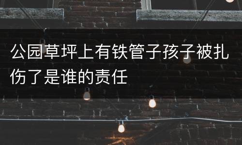 公园草坪上有铁管子孩子被扎伤了是谁的责任