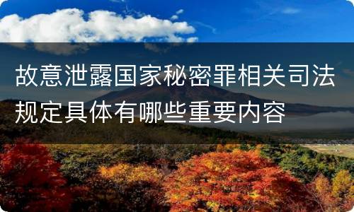 故意泄露国家秘密罪相关司法规定具体有哪些重要内容