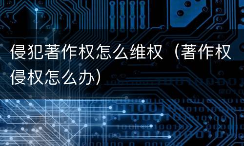 侵犯著作权怎么维权（著作权侵权怎么办）