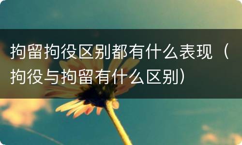 拘留拘役区别都有什么表现（拘役与拘留有什么区别）