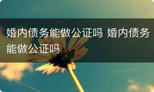 婚内债务能做公证吗 婚内债务能做公证吗