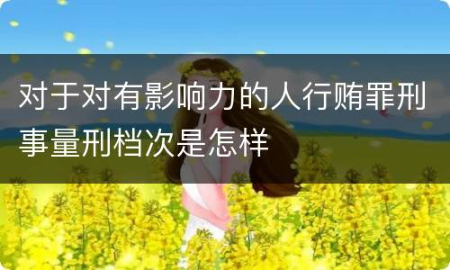 对于对有影响力的人行贿罪刑事量刑档次是怎样