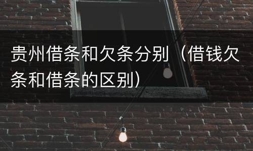 贵州借条和欠条分别（借钱欠条和借条的区别）