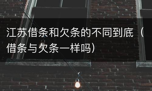 江苏借条和欠条的不同到底（借条与欠条一样吗）