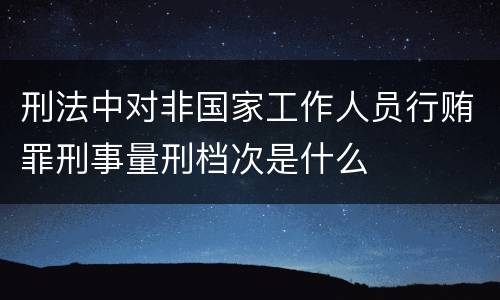 刑法中对非国家工作人员行贿罪刑事量刑档次是什么