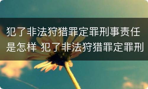 犯了非法狩猎罪定罪刑事责任是怎样 犯了非法狩猎罪定罪刑事责任是怎样划分的