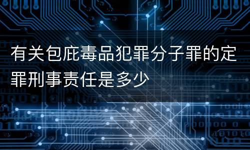 有关包庇毒品犯罪分子罪的定罪刑事责任是多少