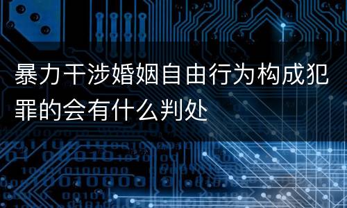 暴力干涉婚姻自由行为构成犯罪的会有什么判处