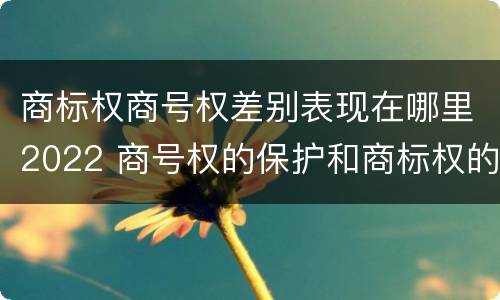 商标权商号权差别表现在哪里2022 商号权的保护和商标权的保护一样是全国性范围的