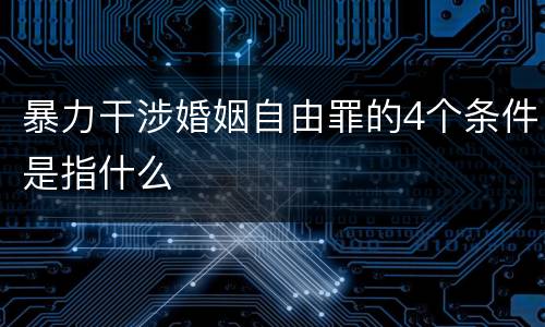 暴力干涉婚姻自由罪的4个条件是指什么