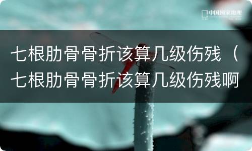 七根肋骨骨折该算几级伤残（七根肋骨骨折该算几级伤残啊）