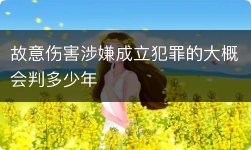 故意伤害涉嫌成立犯罪的大概会判多少年