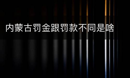内蒙古罚金跟罚款不同是啥