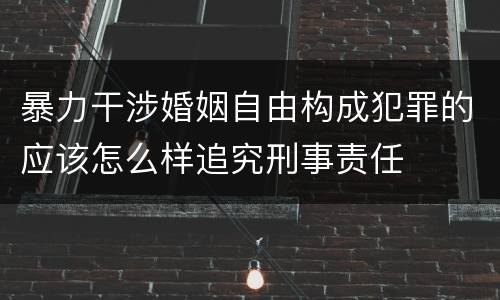 暴力干涉婚姻自由构成犯罪的应该怎么样追究刑事责任