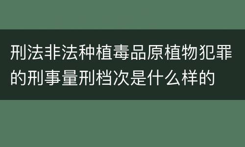 刑法非法种植毒品原植物犯罪的刑事量刑档次是什么样的