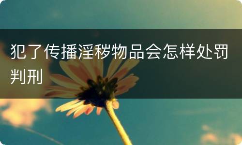 犯了传播淫秽物品会怎样处罚判刑