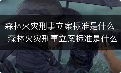 森林火灾刑事立案标准是什么 森林火灾刑事立案标准是什么意思