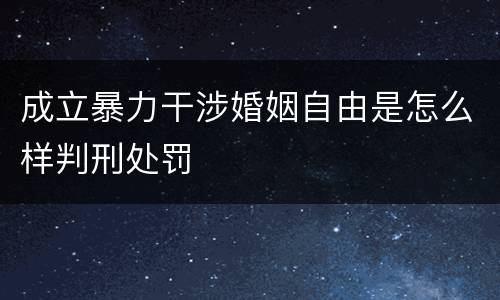 成立暴力干涉婚姻自由是怎么样判刑处罚