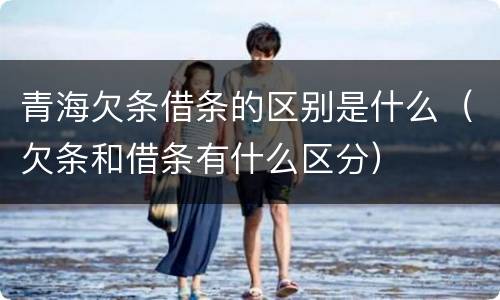 青海欠条借条的区别是什么（欠条和借条有什么区分）