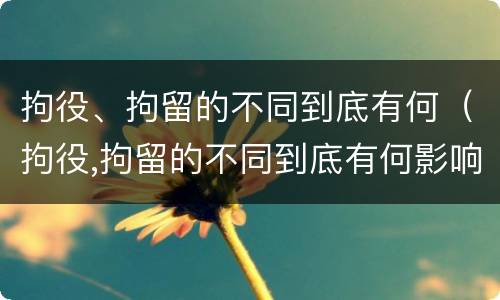 拘役、拘留的不同到底有何（拘役,拘留的不同到底有何影响）