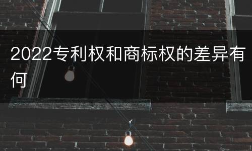 2022专利权和商标权的差异有何