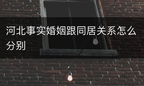 河北事实婚姻跟同居关系怎么分别